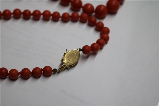 A single strand graduated coral bead necklace, with yellow metal clasp, gross weight 53 grams, 64cm.